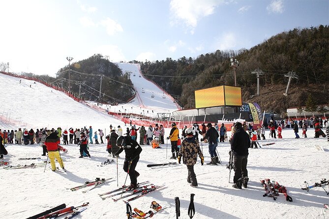 Full Day Private Tour Nami Island & Gangchon Elysian Ski - Private Tour Inclusions