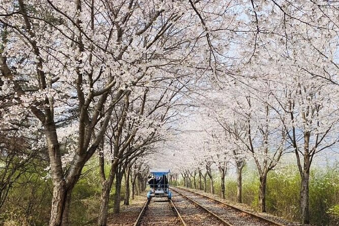 Full-Day Private Tour to Alpaca World/Nami Island With Tickets - Common questions