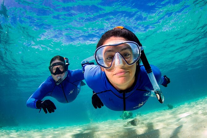 Full-Day Small-Group Guided Snorkeling Tour, Outer Reef  - Port Douglas - Tour Experience Insights