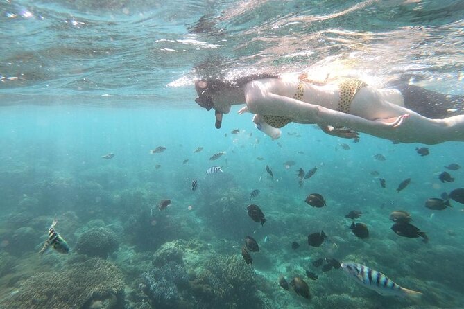 Full Day Snorkeling Activity at Bali Blue Lagoon - Booking Information and Requirements