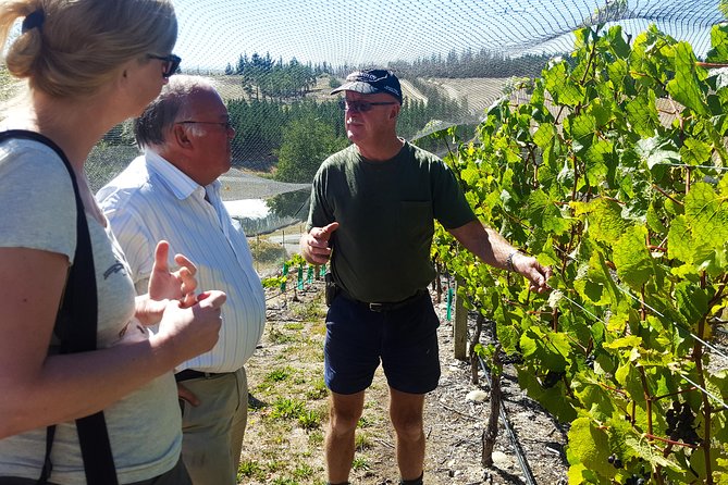 Full-Day Sommelier Guided Private Wine Tour of Central Otago - Reviews and Ratings Analysis