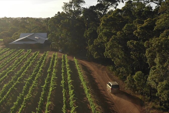 Full Day Tour of Margaret River and Its Local Producers - Lunch at Olio Bello