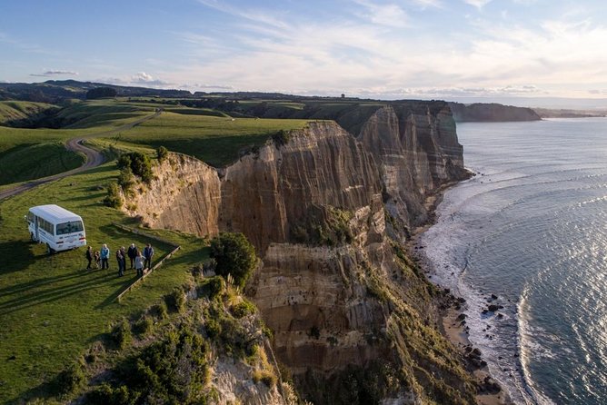 Gannet Safaris Overland Tour to Cape Kidnappers Gannet Colony - Featured Review and Feedback