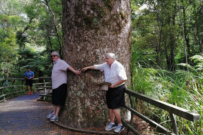 Giant Kauries and Glowwormss Cave - the Bay of Islands Tour Private Tour - Tour Logistics