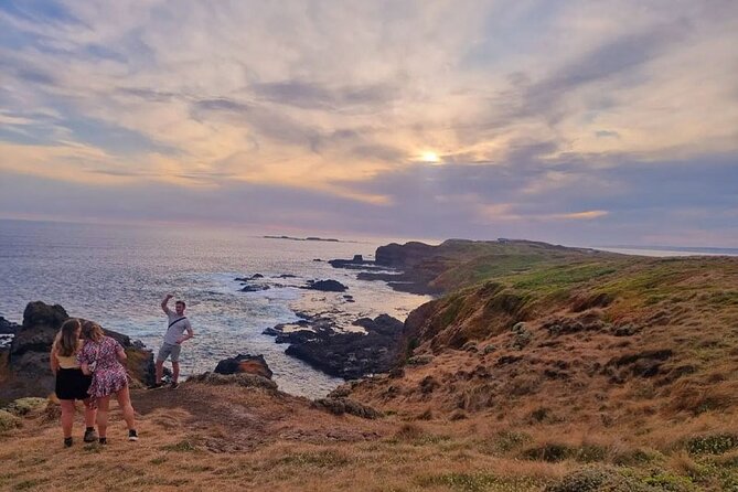 Golden Hour Penguins & Wine Tour With Pickups From Phillip Island - Reviews and Ratings