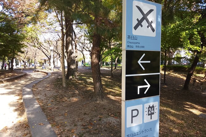 Goshuin Trip Around Tennoji Park Osaka - Additional Costs and Support