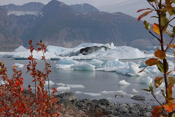 Grand Knik Helicopter Tour - 2 Hours 3 Landings - ANCHORAGE AREA - Wildlife Encounters