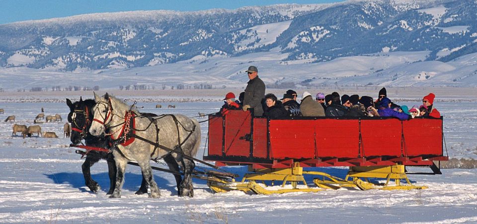 Grand Teton National Park: Wildlife Tour and Sleigh Ride - Tour Inclusions