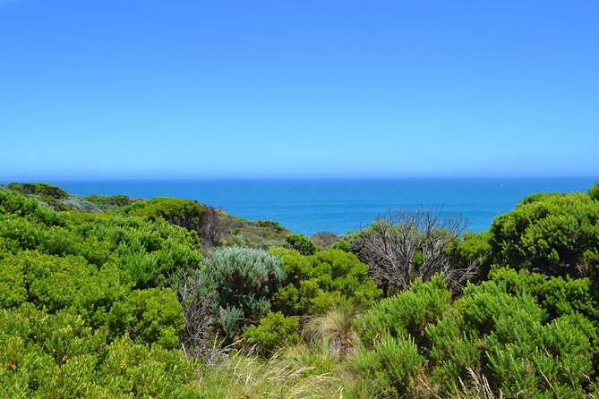 Great Ocean Road Discovery Tour - Additional Resources