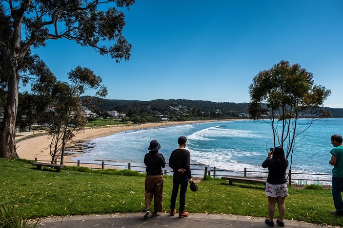 Great Ocean Road Small-Group Ecotour From Melbourne - Additional Information