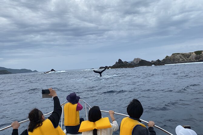 Great Whale Watching at Kerama Islands and Zamami Island - What to Bring for the Tour