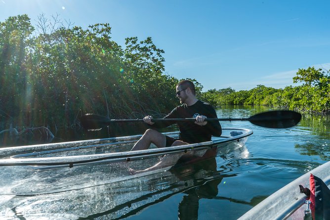Guided Clear Kayak Eco-Tour Near Key West - Tour Highlights