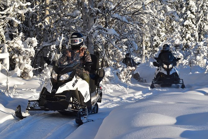 Guided Fairbanks Snowmobile Tour - Participant Requirements and Expectations