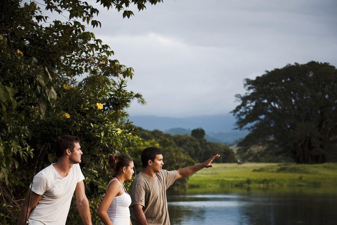 Guided Half-Day Tour of Daintree Rainforest  - Port Douglas - Sum Up