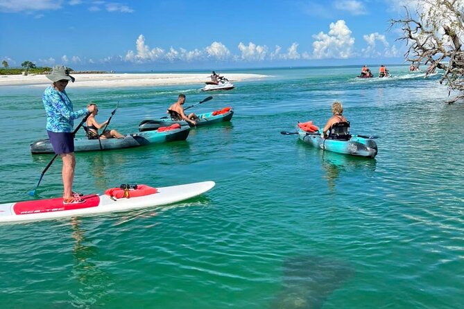 Guided Island Eco Tour - CLEAR or Standard Kayak or Board - Directions