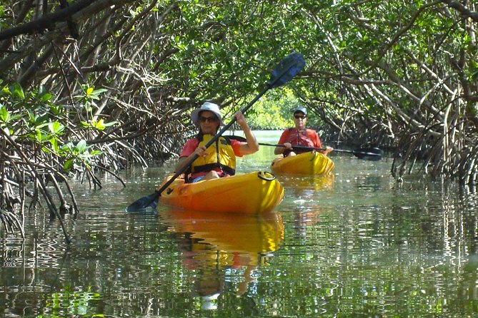 Guided Kayak Eco Tour - Bunche Beach - Directions