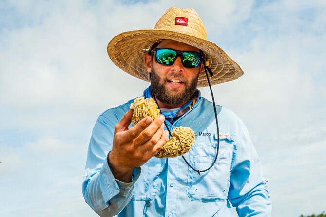 Guided Kayak Mangrove Ecotour in Rookery Bay Reserve, Naples - Tour Experiences