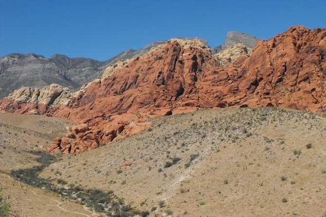 Guided or Self-Guided Road Bike Tour of Red Rock Canyon - Sum Up