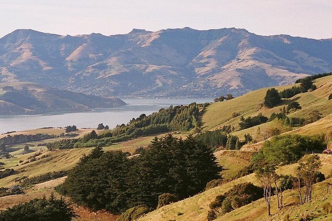 Guided Walk & Scenic Drive From Christchurch- Port Hills & Packhorse Hut - Local Guide Experience