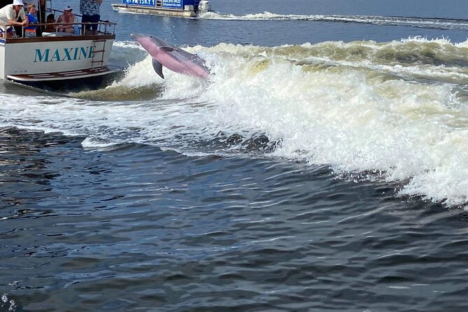 Gulf Breeze Dolphin Tour Around Pensacola Beach - Common questions