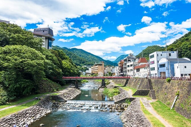 Hakone 8 Hour Private Tour With Government-Licensed Guide - Pickup Points