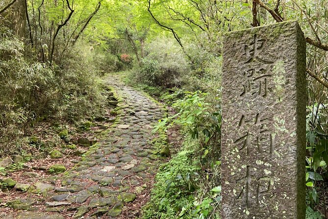 Hakone Old Tokaido Road and Volcano Half-Day Hiking Tour - Common questions