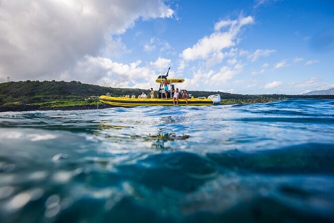 Haleiwa Small-Group Shark Dive Tour  - Oahu - Participant Guidelines