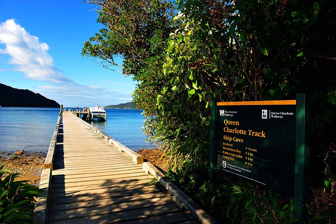 Half-Day Cruise in Marlborough Sounds From Picton - Additional Booking Information