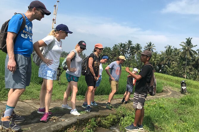 Half-Day Electric Fat Bike Tour of Ubud - Common questions