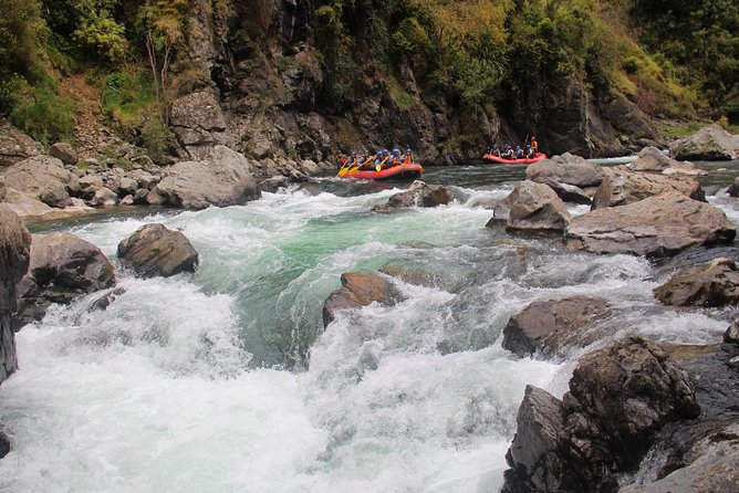 Half Day, Grade 5, White Water Rafting on the Rangitikei River - Safety and Requirements