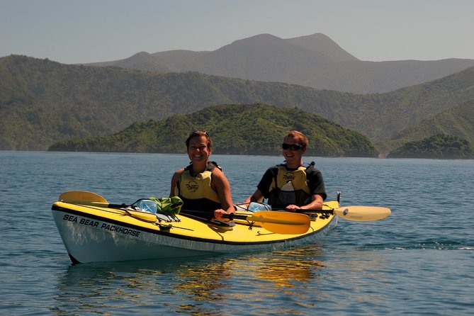 Half-Day Guided Sea Kayaking Tour From Anakiwa - Sum Up