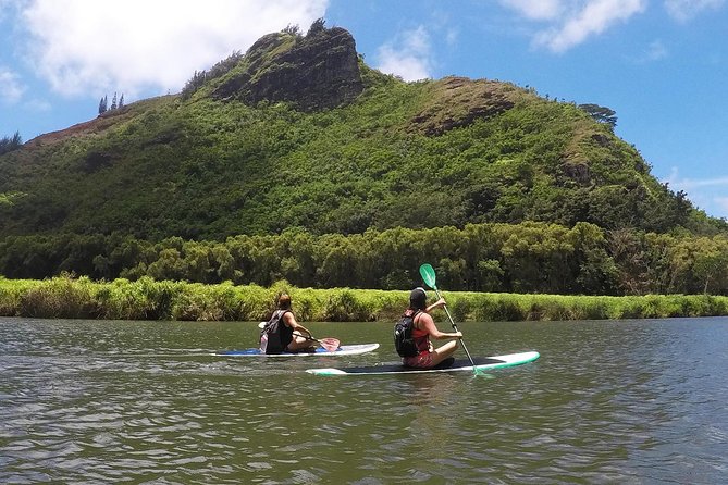 Half-Day Kayak and Waterfall Hike Tour in Kauai With Lunch - Viator Details