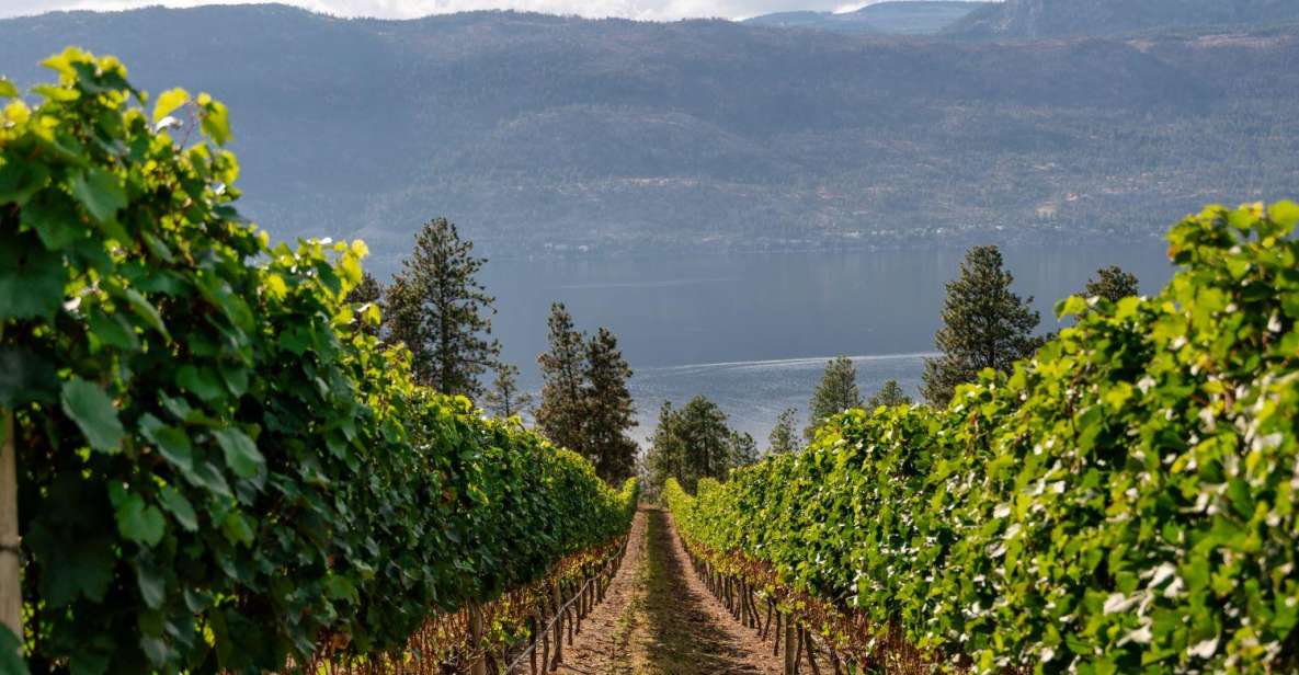 Half-Day Lake Country Wine Tour - Pickup Details