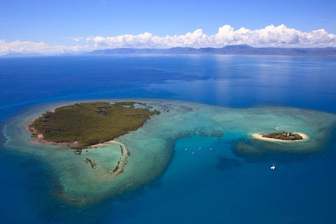 Half Day Low Isles Snorkelling Tour From Port Douglas - Important Information