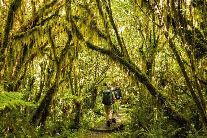 Half-Day Milford Track Guided Hiking Tour - Common questions