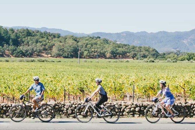 Half-Day Napa Valley E-Bike Tour - Reviews and Ratings