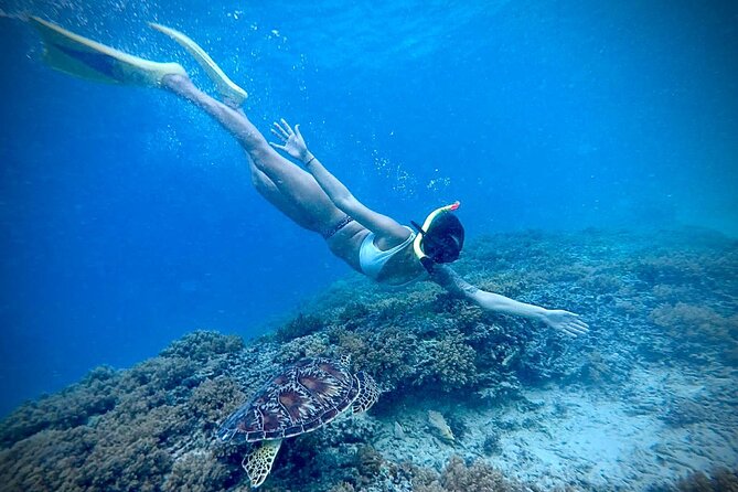 Half-Day Private Guided Snorkeling With Turtle And Statute - Common questions