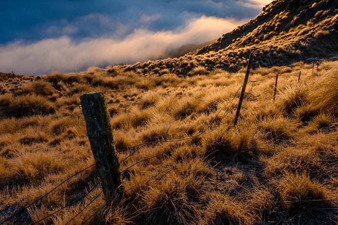 Half-Day Queenstown Photography Tour - Cancellation Policy