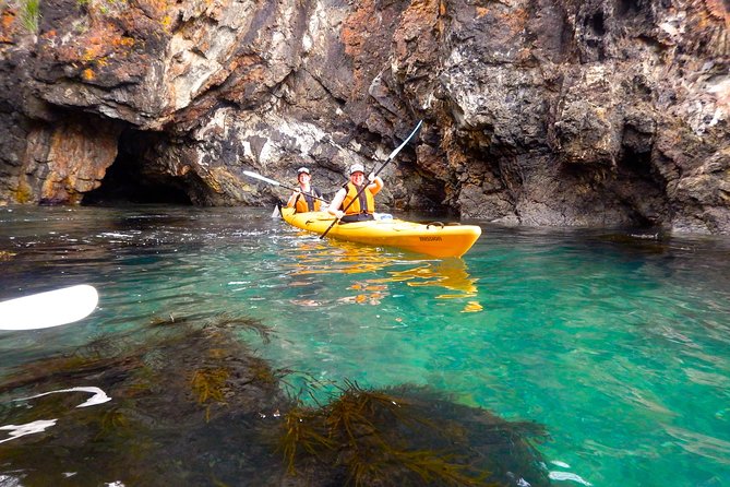 Half Day Sea Kayak Tour From Batemans Bay With Morning Tea and Snorkeling - Common questions