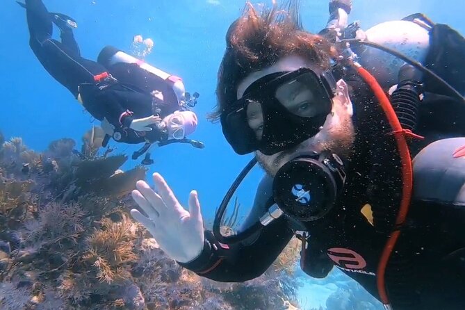 Half-Day Small-Group 2-Tank Scuba Dive in Key Largo (CERTIFIED DIVERS ONLY) - Weather Conditions and Tour Adjustments