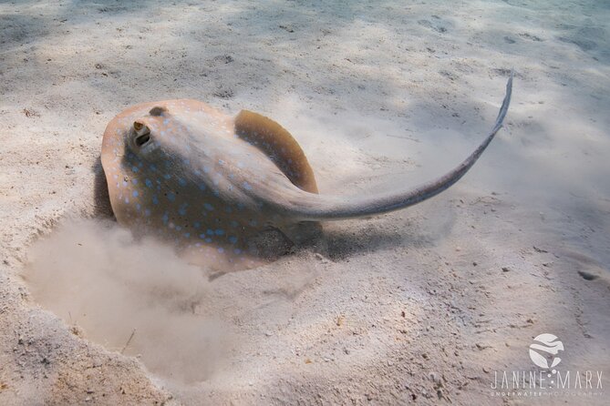 Half Day Snorkel 2.5hr Turtle Tour on the Ningaloo Reef, Exmouth - Cancellation and Refund Policy