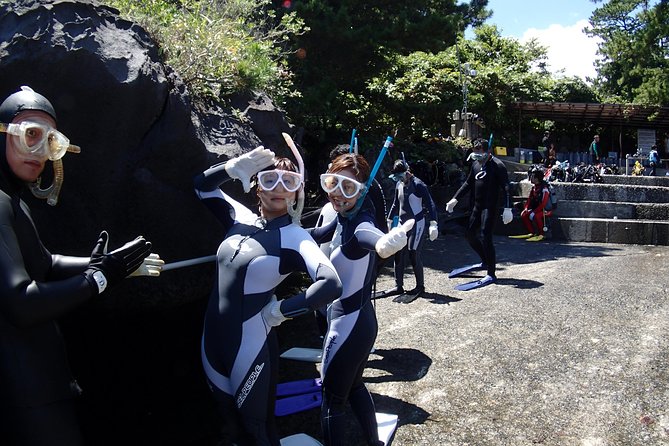 Half-Day Snorkeling Course Relieved at the Beginning Even in the Sea of Izu, Veteran Instructors Wil - Weather-Dependent Policy