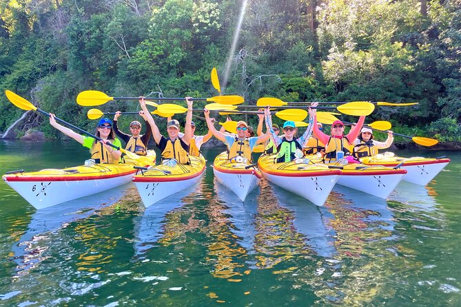 Half-Day Sydney Middle Harbour Guided Kayaking Eco Tour - Directions