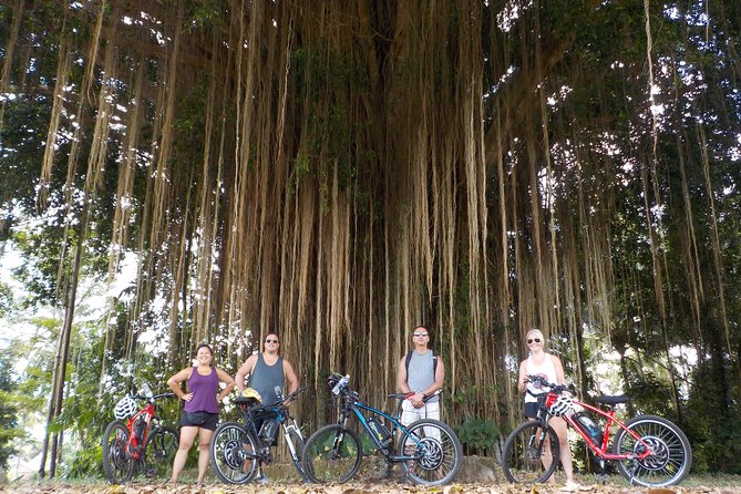 Half-Day Ubud Electric Cycling Tour to Tirta Empul Water Temple - Tirta Empul Temple Visit