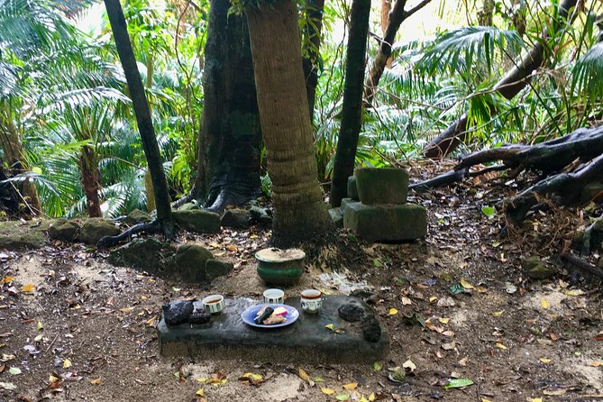 Half-Day Walking Tour to Indigenous Iriomote Village  - Iriomote-jima - Customer Reviews