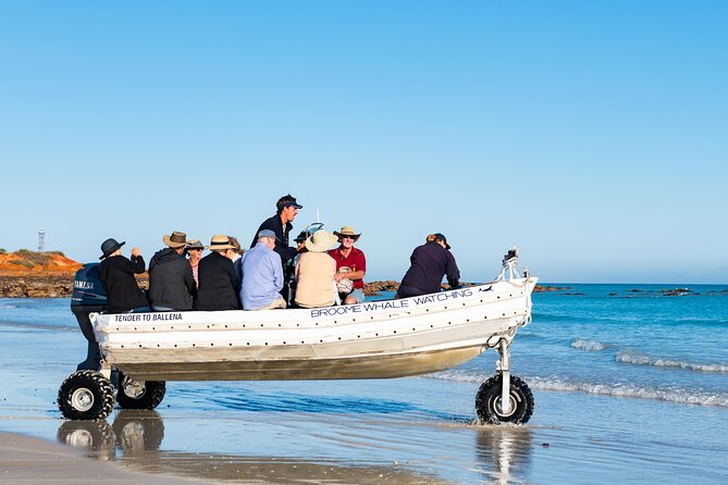 Half-Day Whale Watching Sunset Cruise From Broome - Important Details