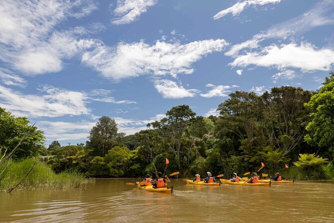 Hallertau Clevedon Kayak Tour - Important Reminders