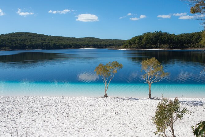 Hervey Bay to Fraser Island 4WD Tour With Lake Mckenzie Swim - Visitor Recommendations