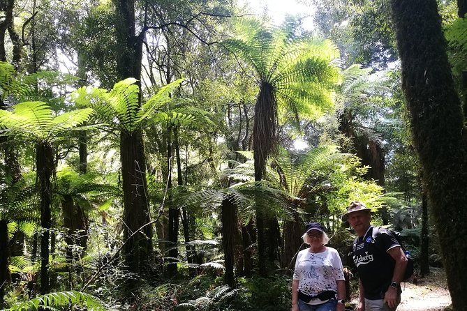 Hike New Zealands Finest Forest - Whirinaki Forest - Common questions