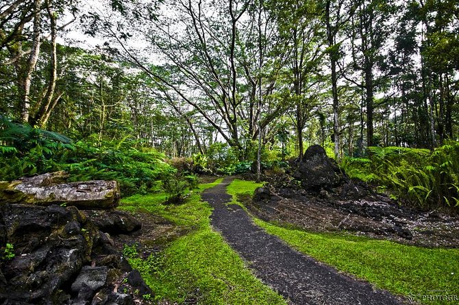 Hilo Shore Excursion: Safari Lava Caves, Falls and Highlights - Common questions